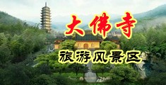 大黑鸡进日插小逼视频中国浙江-新昌大佛寺旅游风景区